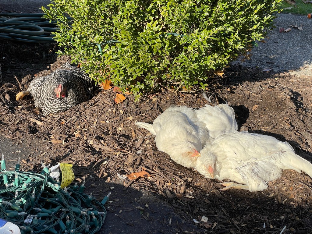 Wanna roll in the dirt with&nbsp;us?