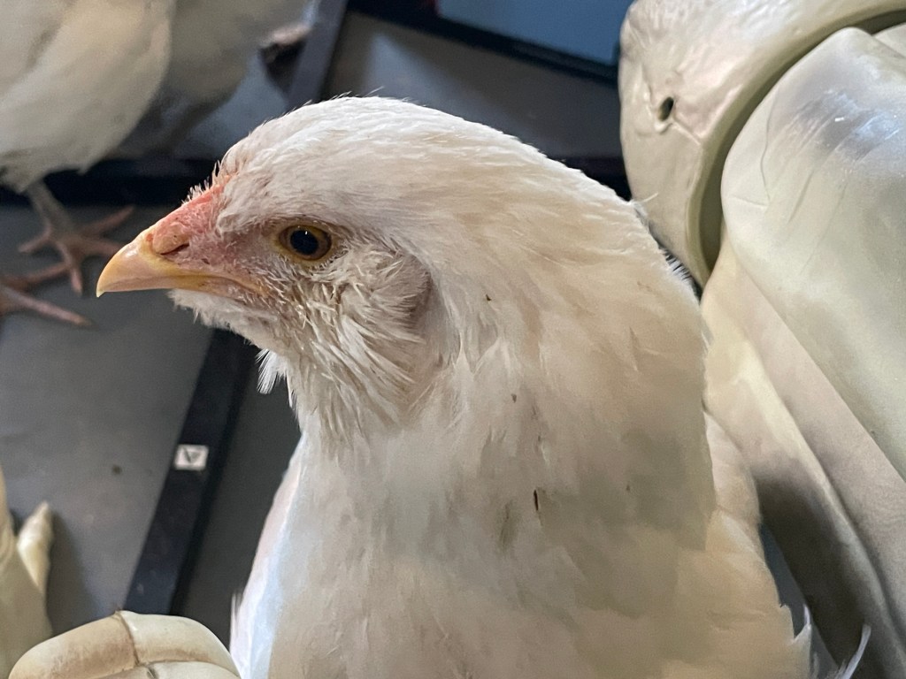 How do you like me from this&nbsp;angle?