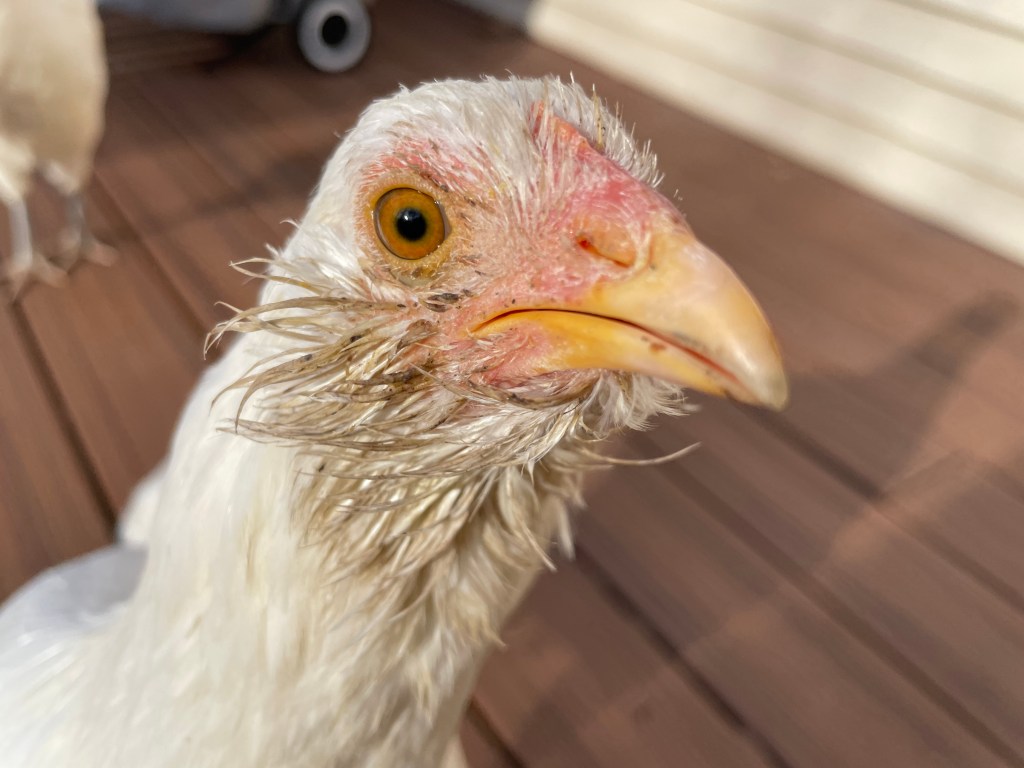 We Can’t Always Look Our&nbsp;Best